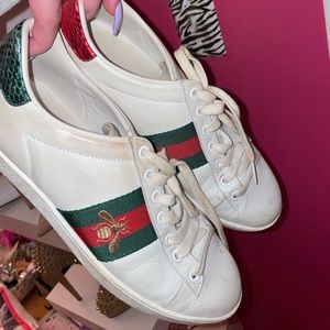 Gucci ace sneaker